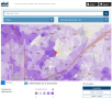 Couverture et débit 4G Free Mobile : Focus sur Bagnolet