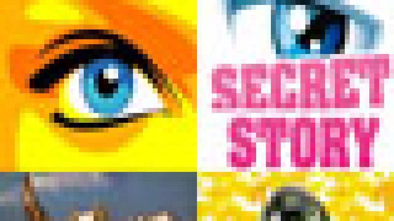 Secret Story: Le CSA rappelle à l’ordre TF1