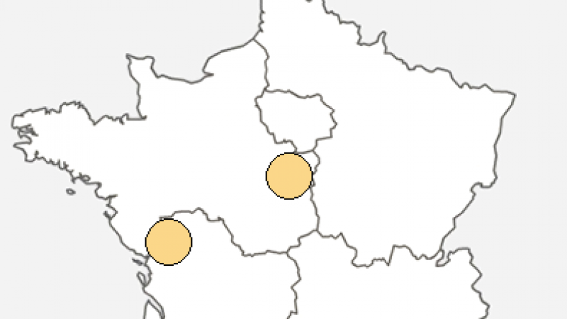 Free : Incident réseau dans le département de la Vendée