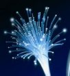 Free annonce le déploiement FTTH à Valenciennes