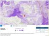 Couverture et débit 4G Free Mobile : Focus sur Fontenay-Sous-Bois