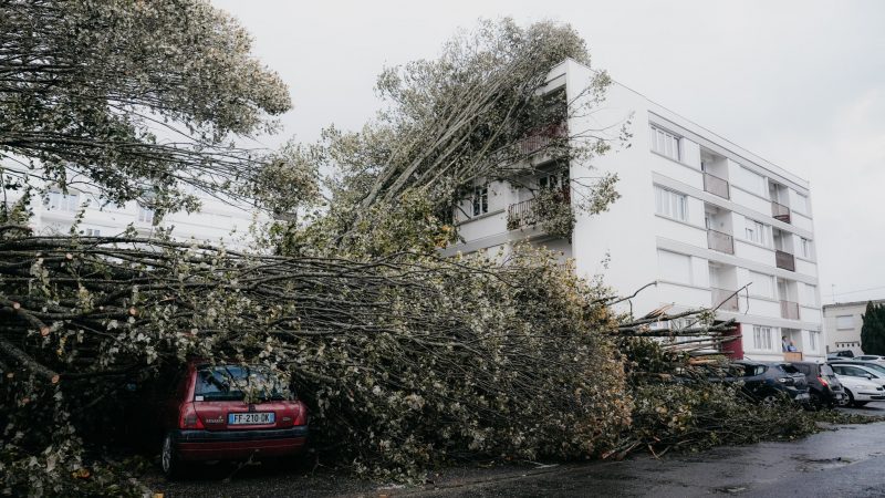 Tempête Ciaran : de gros dégâts sur le réseau d’Orange, Free, SFR et Bouygues Telecom