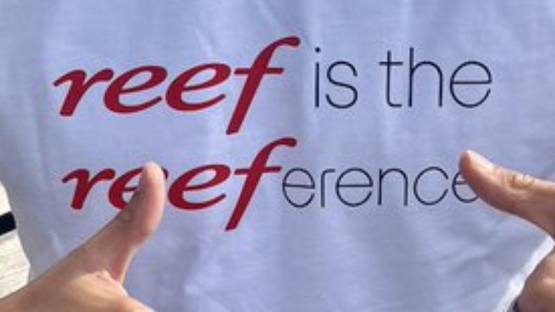 Reef, l’ennemi juré de Free, lance un nouveau slogan et vous offre des t-shirts